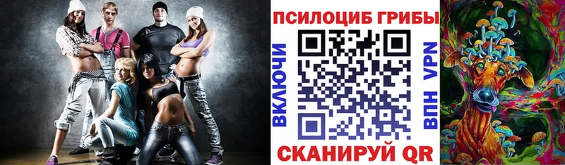 mega как войти  Меленки  Галлюциногенные грибы Psilocybine cubensis  что такое  